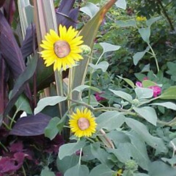 Meet your Posher, Chris - Picture 14 of 16